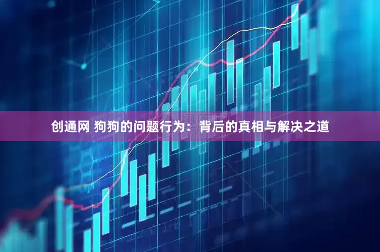 创通网 狗狗的问题行为：背后的真相与解决之道